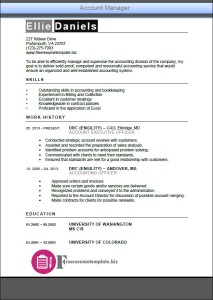 Account Manager Resume Template 4