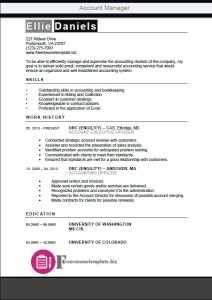 Account Manager Resume Template 6