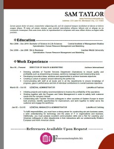 Free Resume Template 58